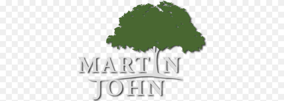 Snow Removal Archives Martin John Tree, Green, Vegetation, Sycamore, Oak Free Transparent Png