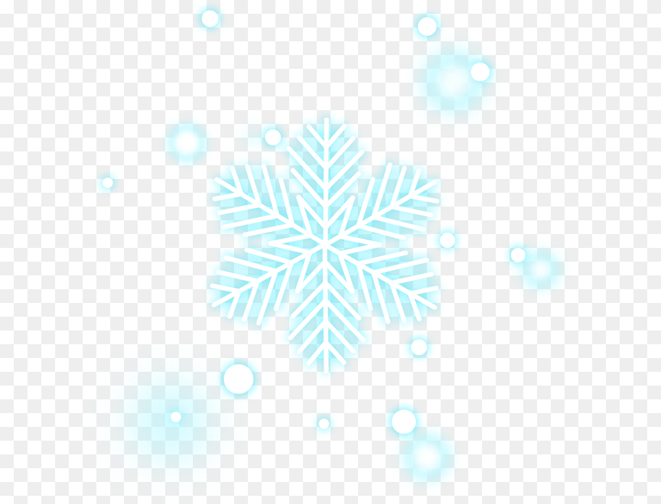 Snow Snowflake Flake Starlight Luminous Effect New Year Decoration 2020, Leaf, Nature, Outdoors, Plant Png Image