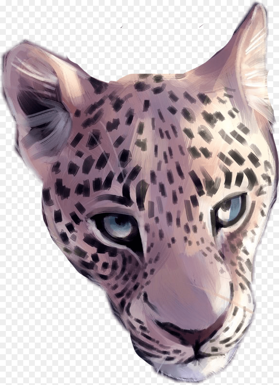 Snow Sticker African Leopard, Animal, Mammal, Panther, Wildlife Png