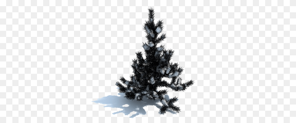 Snow Tree Download Boreal Conifer, Pine, Plant, Fir, Christmas Png