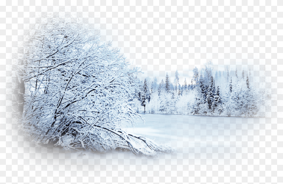 Snow Winter Blizzard Desktop Wallpaper Landscape Forest Snowy Tree Transparent Background, Ice, Weather, Nature, Outdoors Free Png