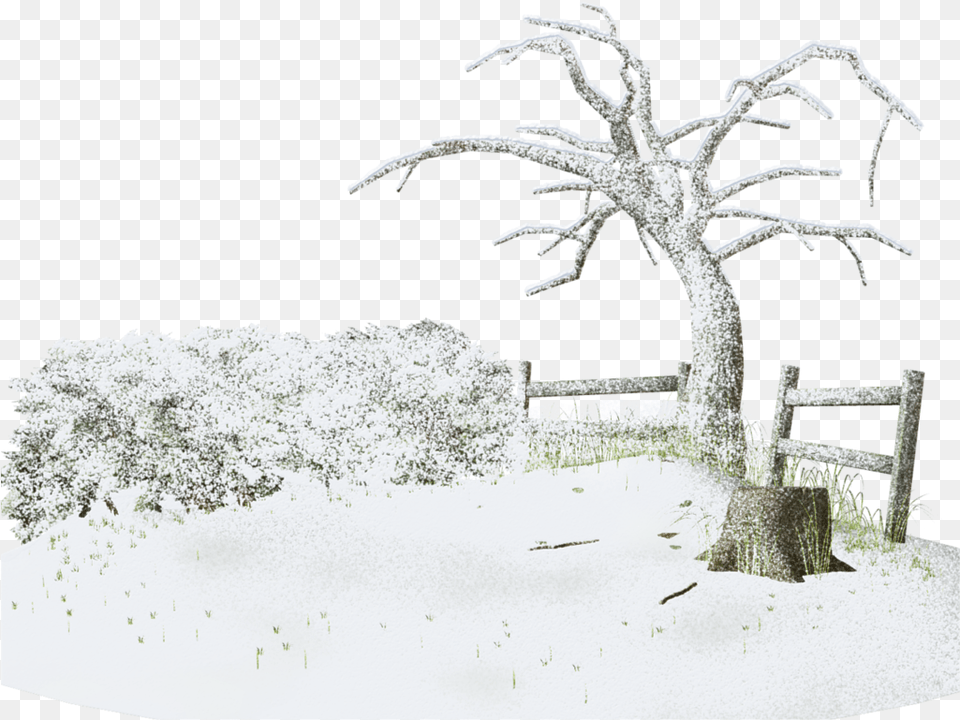 Snow Winter Storm Tree Winters Download Givre Paysage Hiver Tube Centerblog, Weather, Ice, Nature, Outdoors Png Image