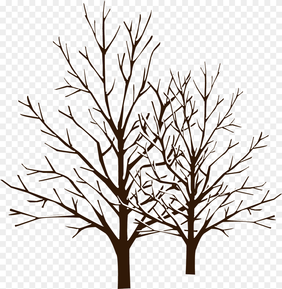 Snow Winter Tree Winter Tree Vector, Nature, Night, Outdoors, Plant Png Image