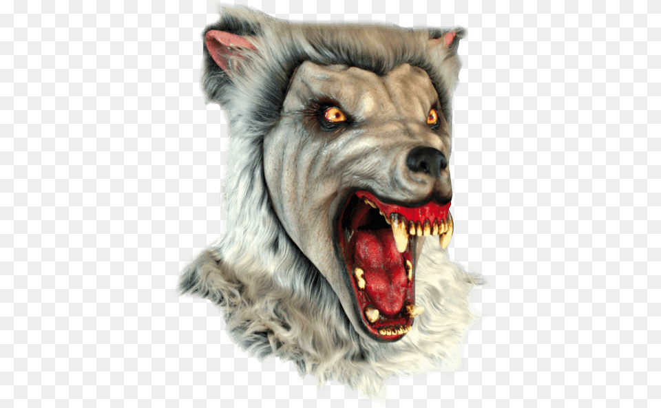 Snow Wolf Mask Mascara Hombre Lobo, Teeth, Body Part, Person, Mouth Png Image