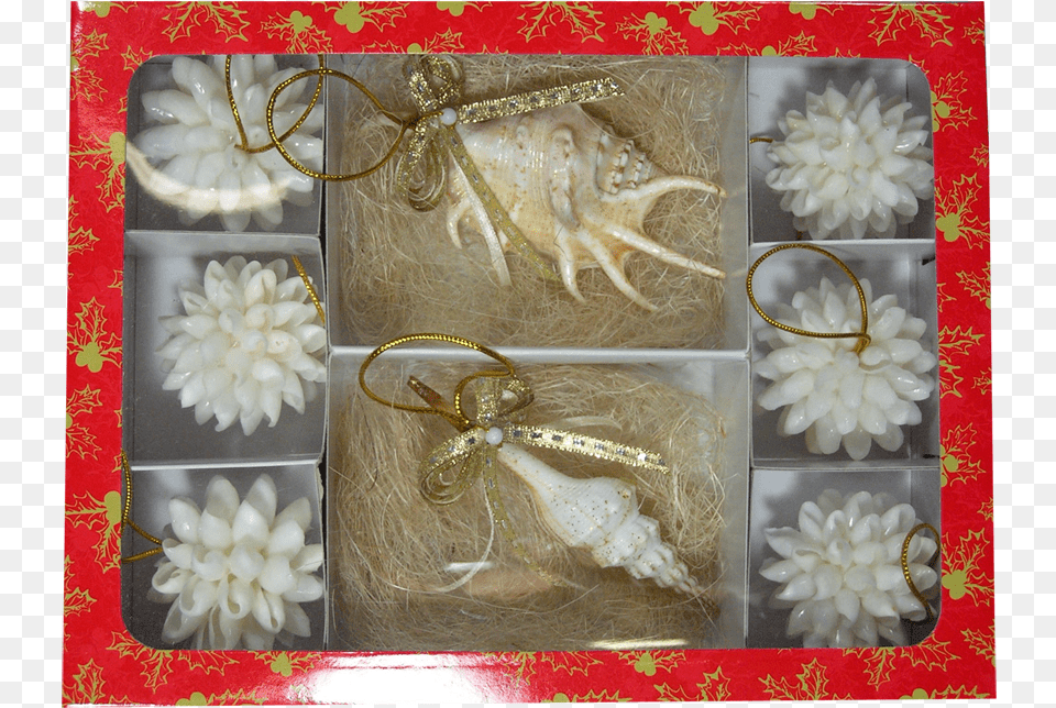 Snowballs 2quot And 2 Christmas Ornaments In Gift Box Floral Design, Accessories, Jewelry, Animal, Insect Free Png