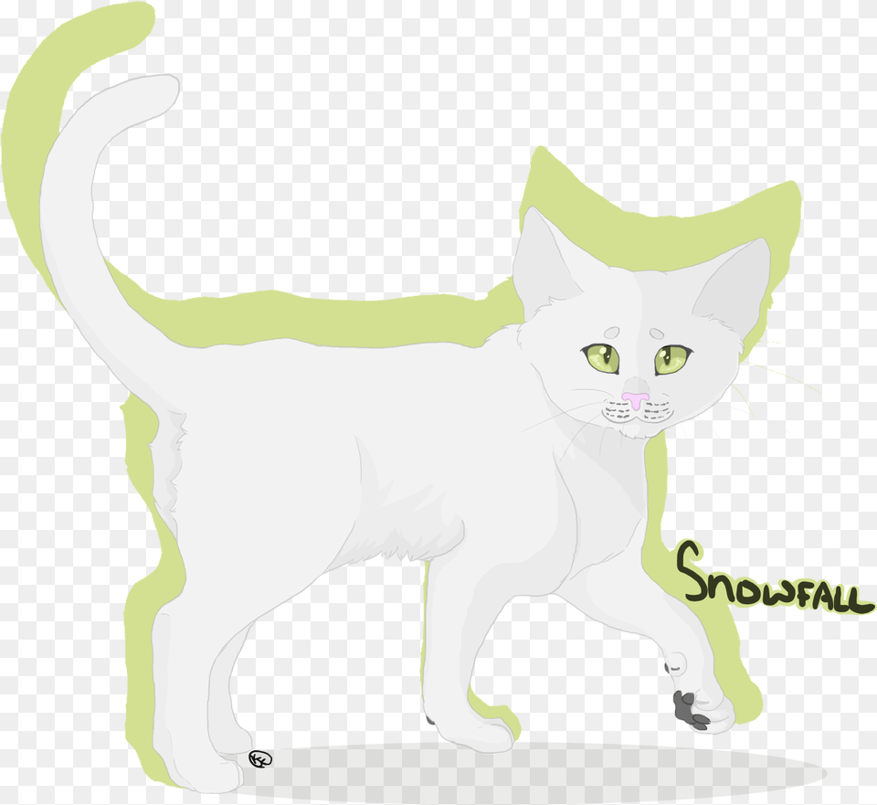 Snowfall Domestic Short Haired Cat, Animal, Mammal, Pet Png Image