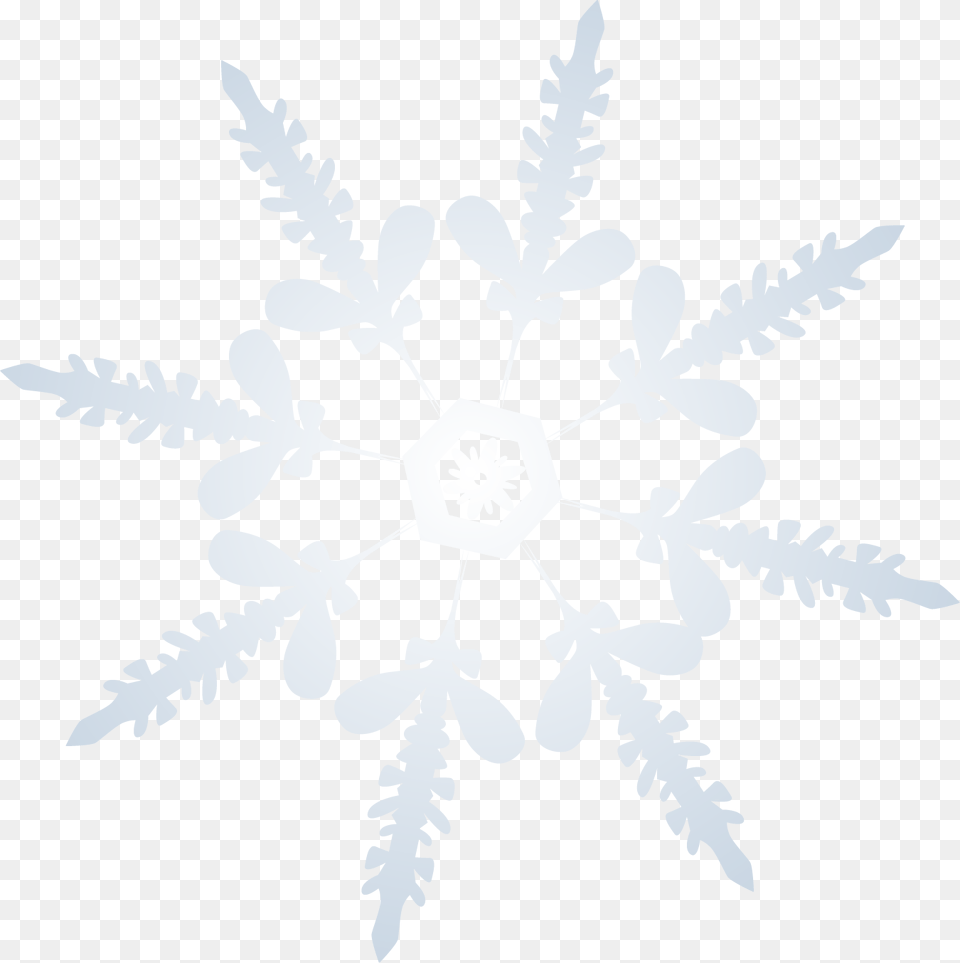 Snowflake, Nature, Outdoors, Snow, Plant Free Png