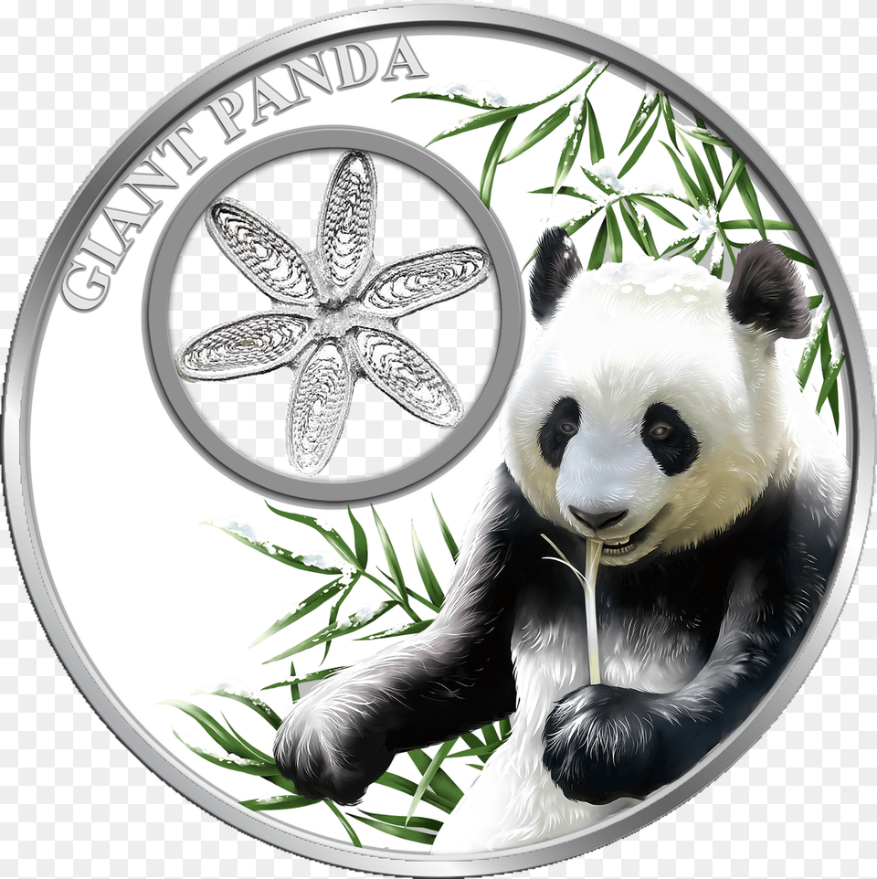 Snowflake Panda Bear 1oz Silver Filigree Coin Tokelau Coin, Animal, Giant Panda, Mammal, Wildlife Png Image