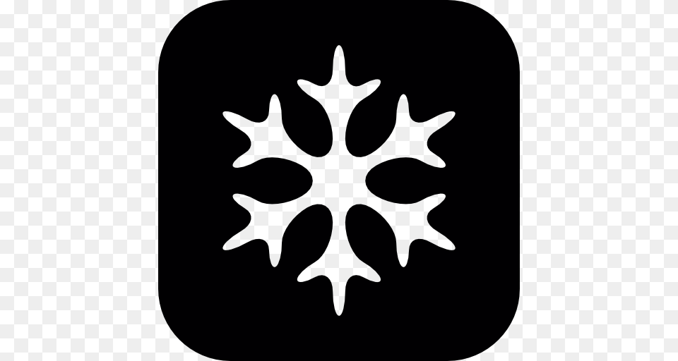Snowflake Winter Shape In Black And White, Leaf, Plant, Stencil, Outdoors Free Png Download