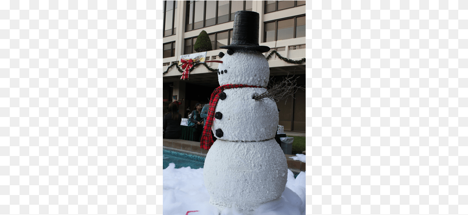 Snowman, Adult, Female, Nature, Outdoors Free Png