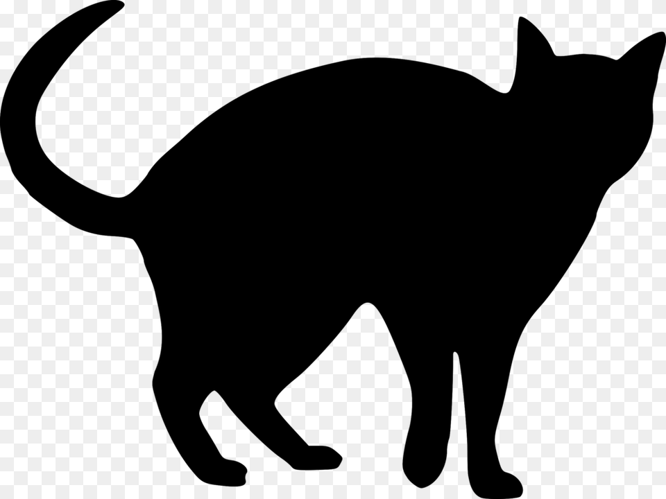 Snowshoe Cat Silhouette Drawing Black Cat Kitten, Gray Free Png
