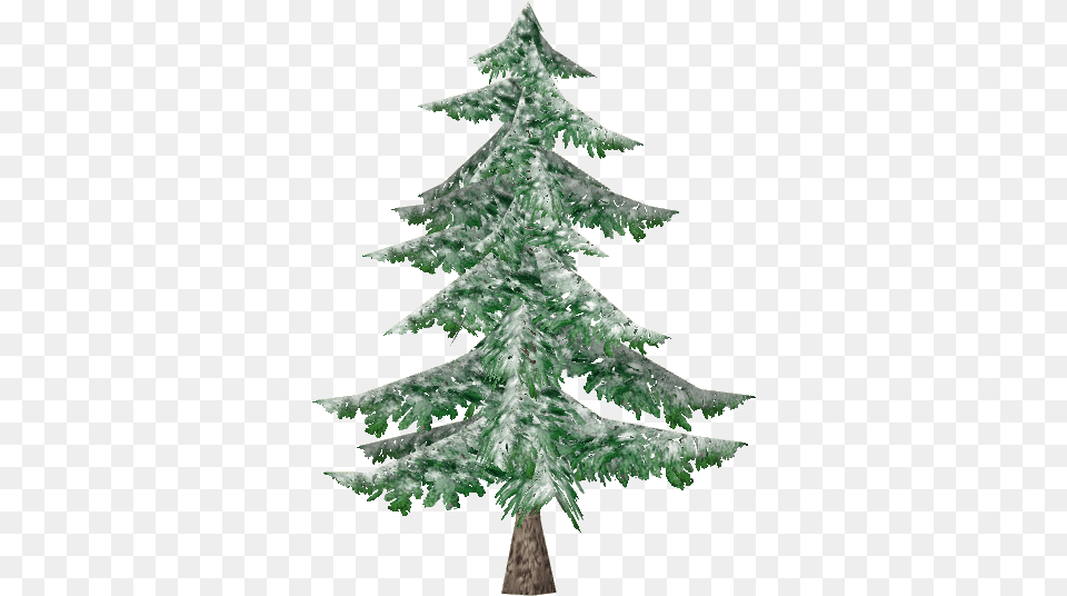 Snowy Balsem Fir Christmas Tree Full Size Download Christmas Tree, Pine, Plant Free Transparent Png
