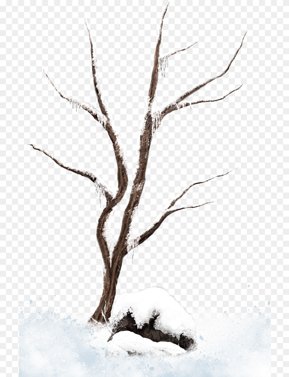 Snowy Branch Drawing, Ice, Nature, Outdoors, Wood Free Png