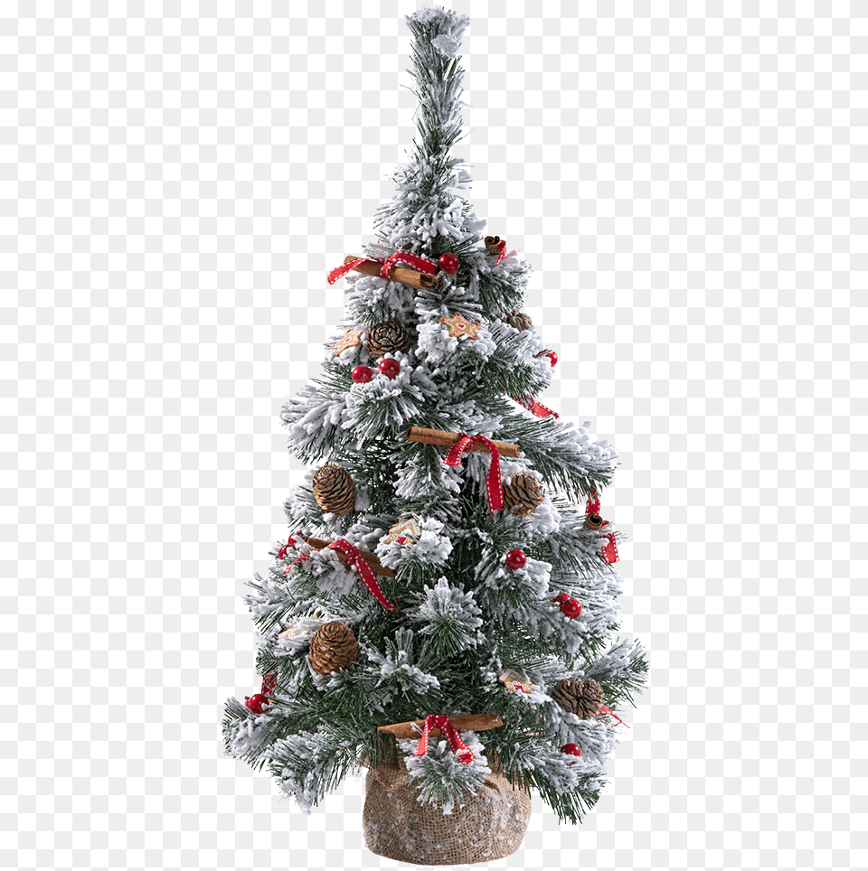 Snowy Christmas Tree 60cm Christmas Tree, Plant, Christmas Decorations, Festival, Christmas Tree Free Png Download