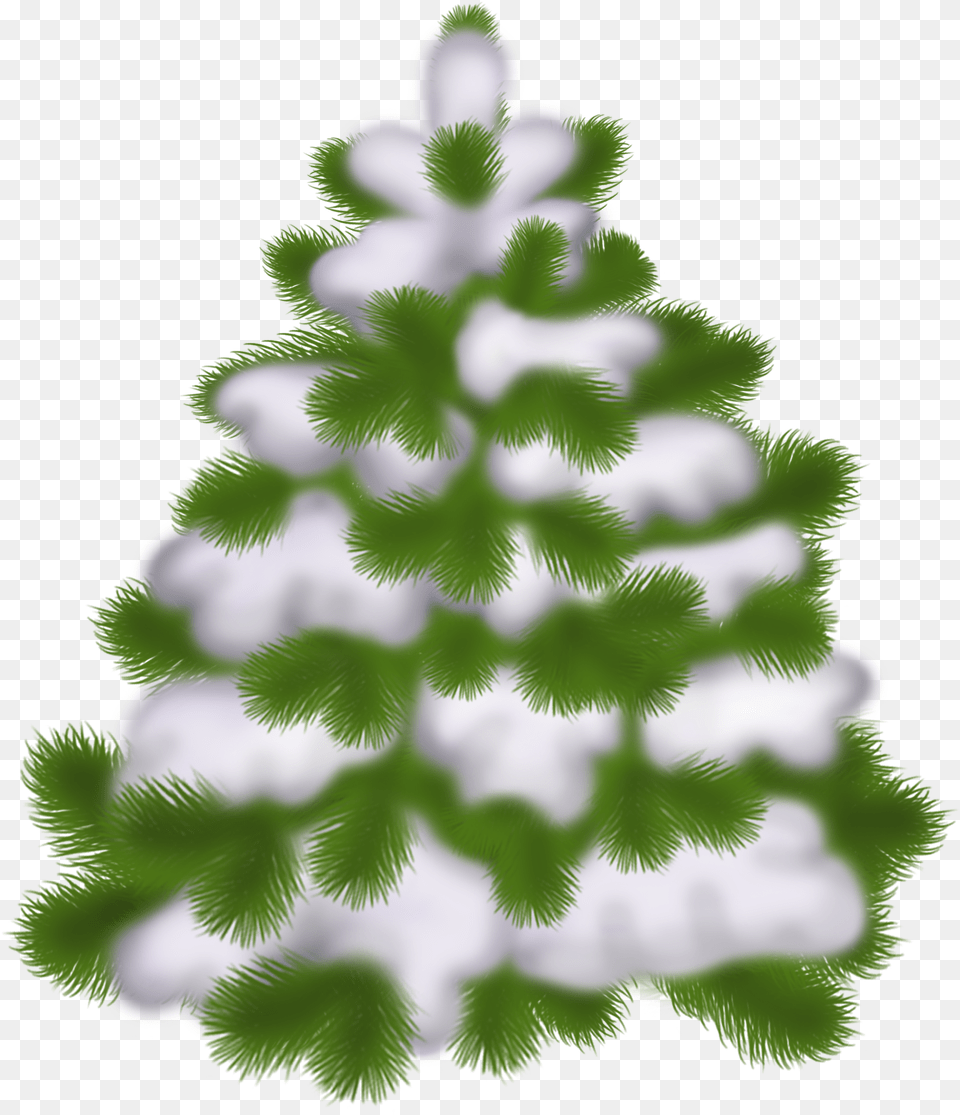 Snowy Christmas Tree Transparent Background, Plant, Pine, Fir, Christmas Decorations Png Image