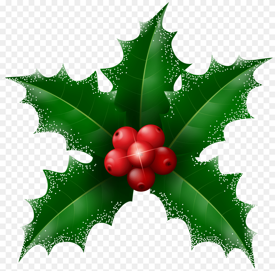 Snowy Holly Mistletoe Clip Free Png Download