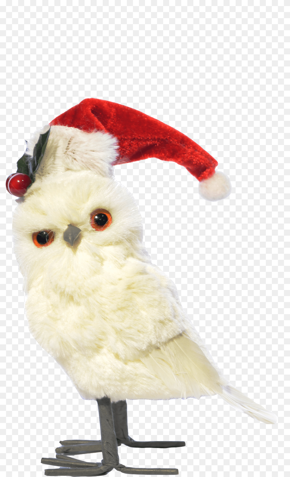 Snowy Owl, Animal, Beak, Bird, Parrot Png Image