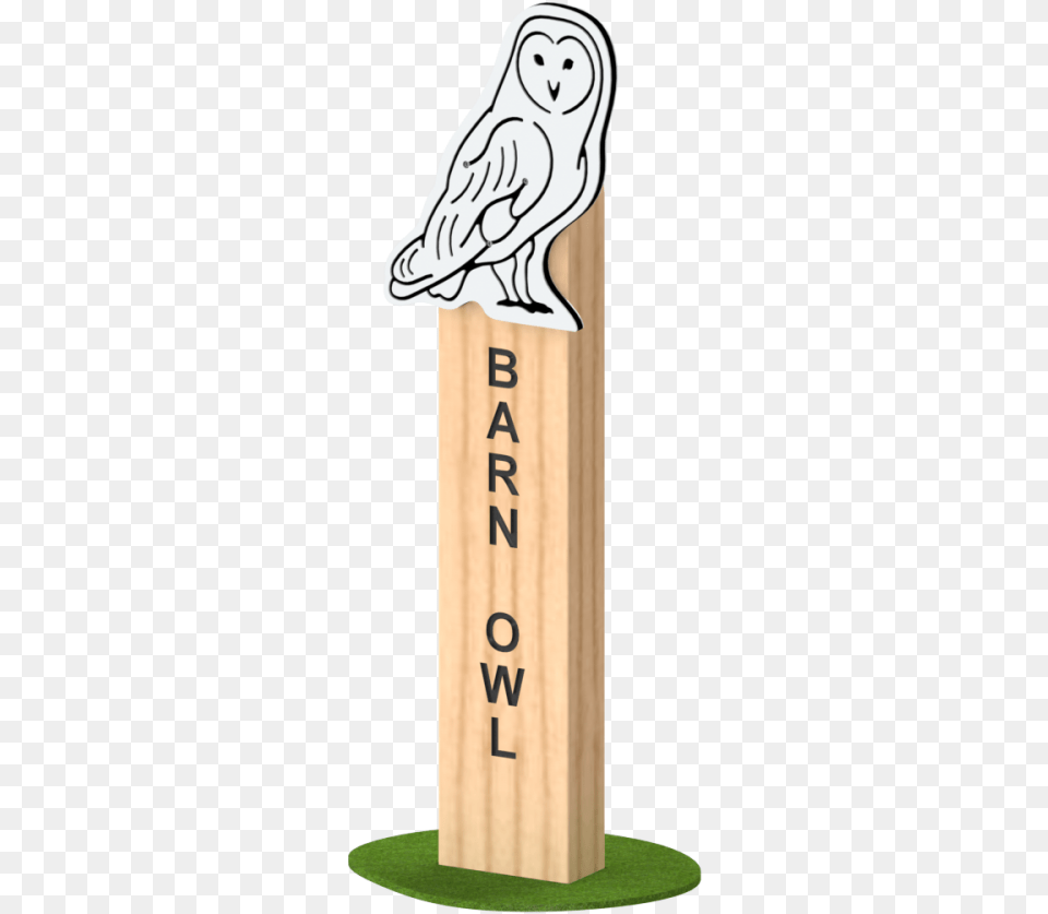 Snowy Owl, Animal, Bird, Cricket, Cricket Bat Free Png