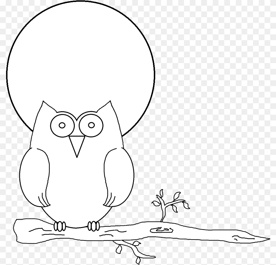 Snowy Owl Clipart Branch Cartoon, Baby, Person, Art Free Png