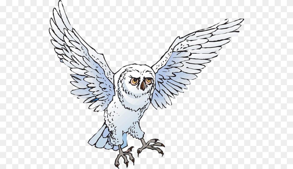 Snowy Owl Flying Clipart, Animal, Bird Free Png Download