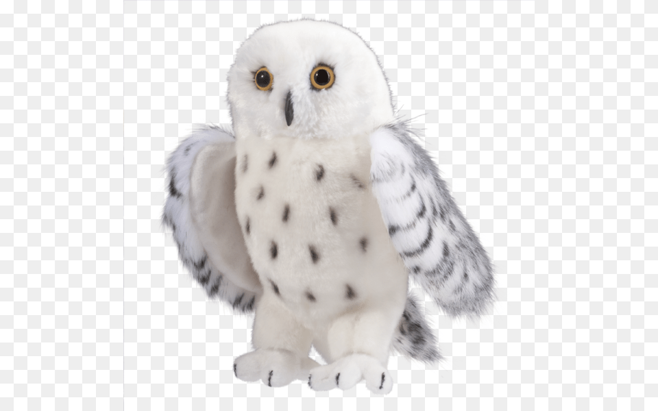 Snowy Owl Stuffed Animal, Bird Free Transparent Png