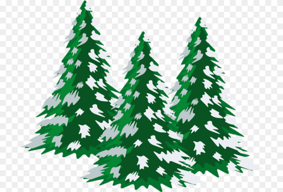 Snowy Tree Christmas Pine Trees Clipart, Plant, Fir, Wedding, Person Free Png