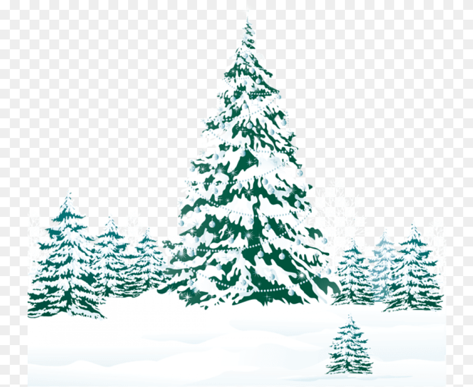 Snowy Winter Ground With Trees Snowy Winter Trees Clipart, Fir, Pine, Plant, Tree Free Png Download