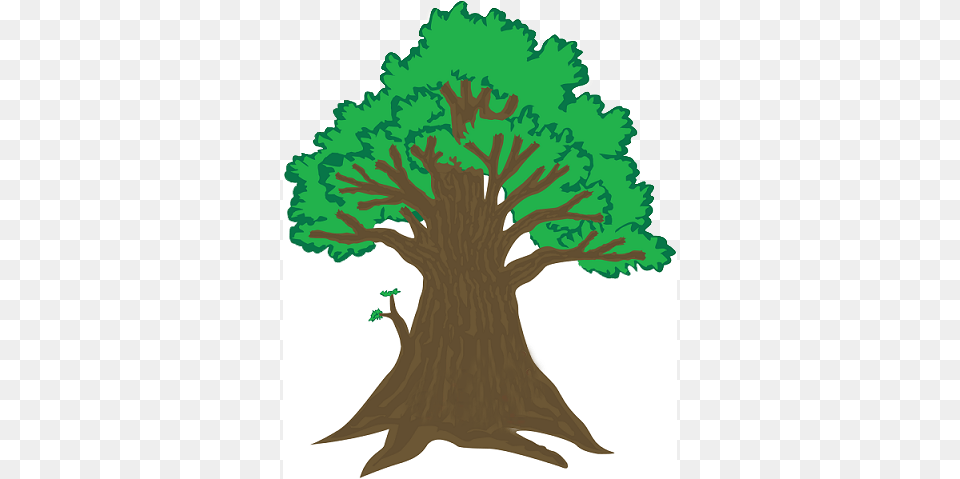 Sntbiz Sntbiz Social Networks, Plant, Tree, Tree Trunk, Oak Png