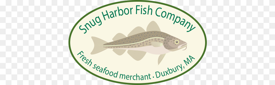 Snug Harbor Fish Company Casuarina Primary School, Animal, Cod, Sea Life, Trout Png