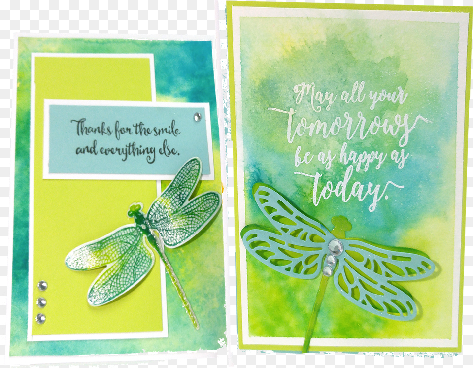 So Anywho Here Are A Few Closeups Of Some Of The Dragonfly, Envelope, Greeting Card, Mail, Animal Free Transparent Png