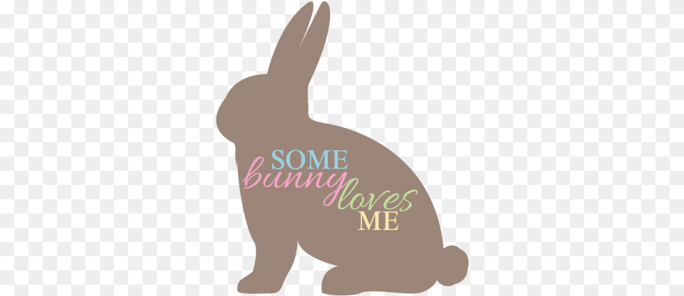 So Excited For Spring This Morning I Have The Windows Domestic Rabbit, Animal, Baby, Mammal, Person Png