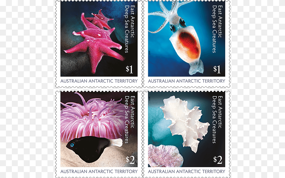So Exotic And Even Mysterious East Antarctic Deep Sea, Animal, Fish, Sea Life, Postage Stamp Png