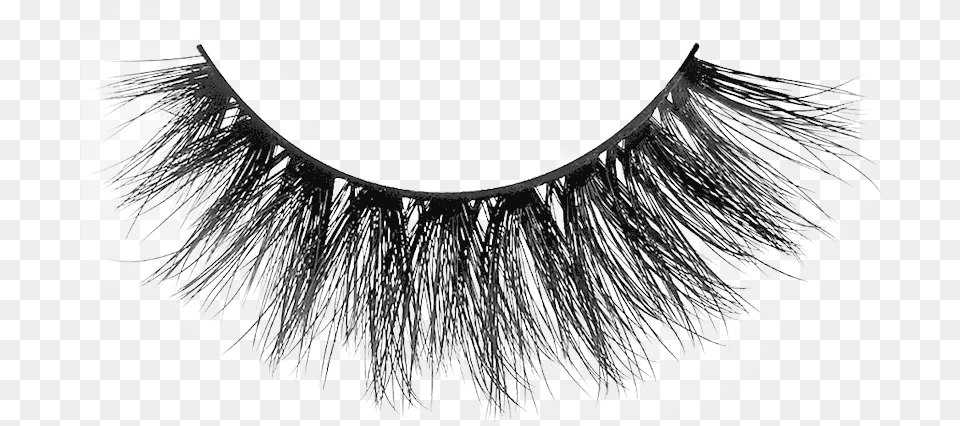 So Glamorous Morphe Lashes, Accessories, Jewelry, Necklace, Art Free Png