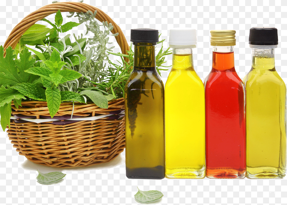 So Incredible We Created A Nice Table Showing You How Essential Oil, Herbal, Herbs, Plant, Mint Free Png