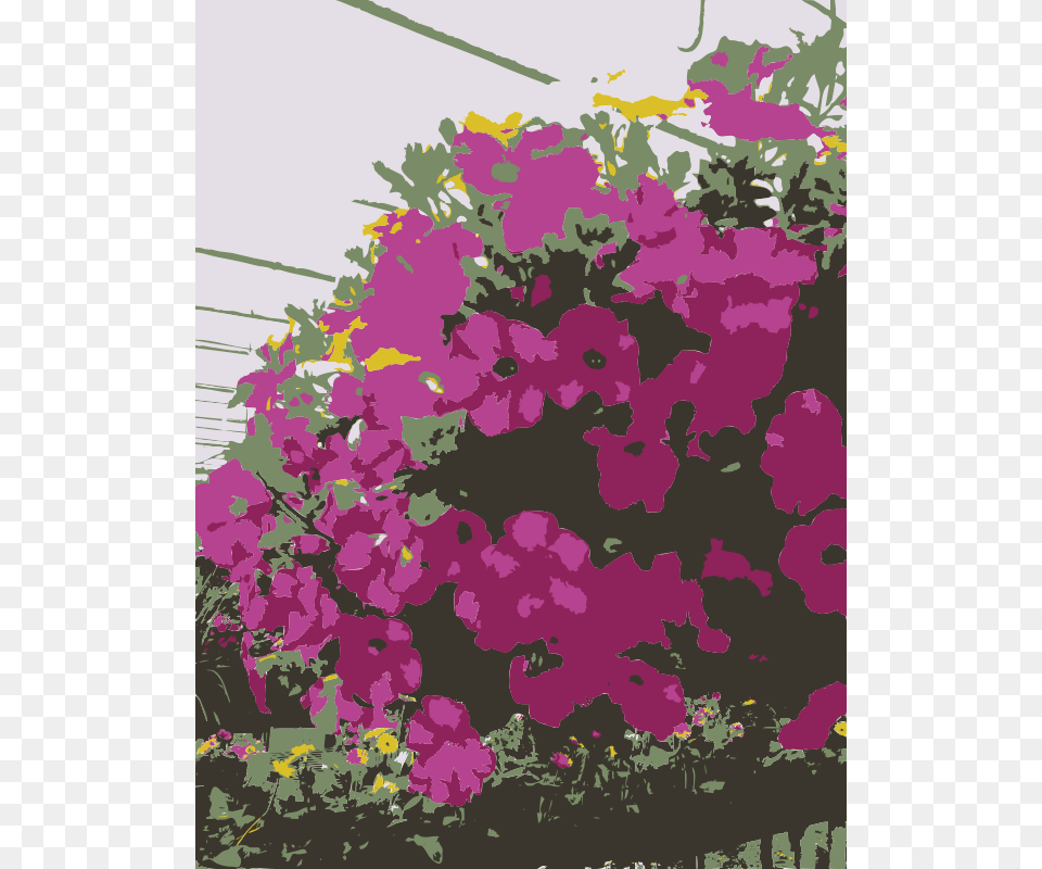 So Many Missouri Aiflowers Flowers, Flower, Purple, Potted Plant, Plant Free Transparent Png