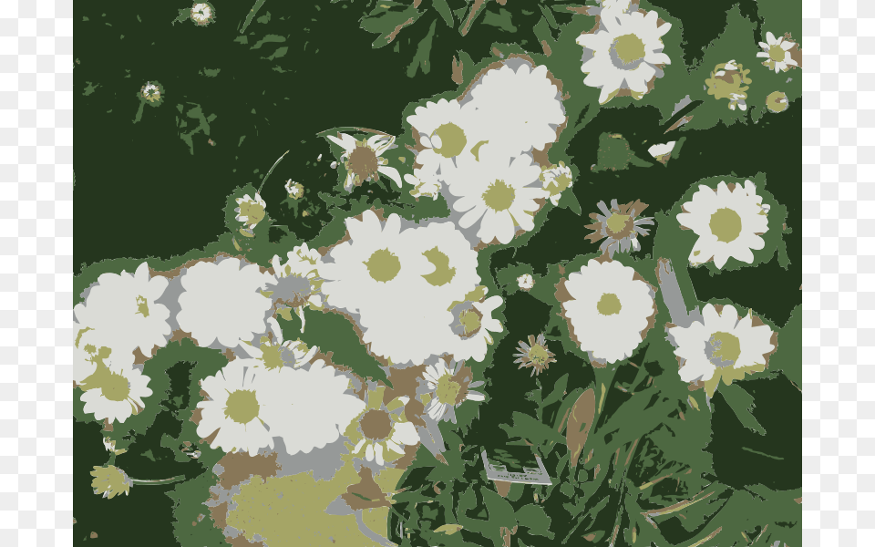 So Many Missouri Aiflowers Flowers, Daisy, Flower, Plant, Anemone Png Image