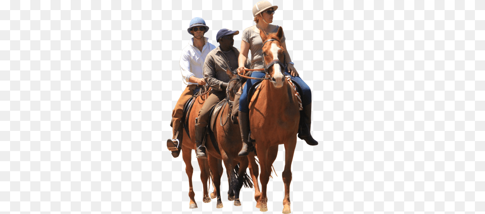 So Much Fun To Ride Out From The Farm Equestrianism, Animal, Equestrian, Person, Horse Free Png