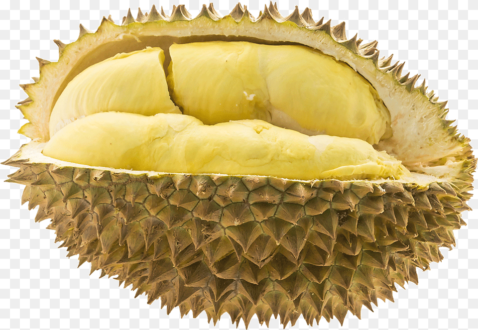 So Pay Us A Visit For The Only Cure To Your Late Night Durio Zibethinus, Durian, Food, Fruit, Plant Png Image