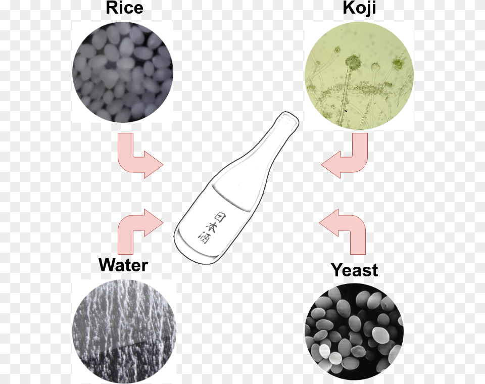 So Rice Water Koji And Special Sake Yeast Are Fab, Bottle, Alcohol, Beverage Png Image