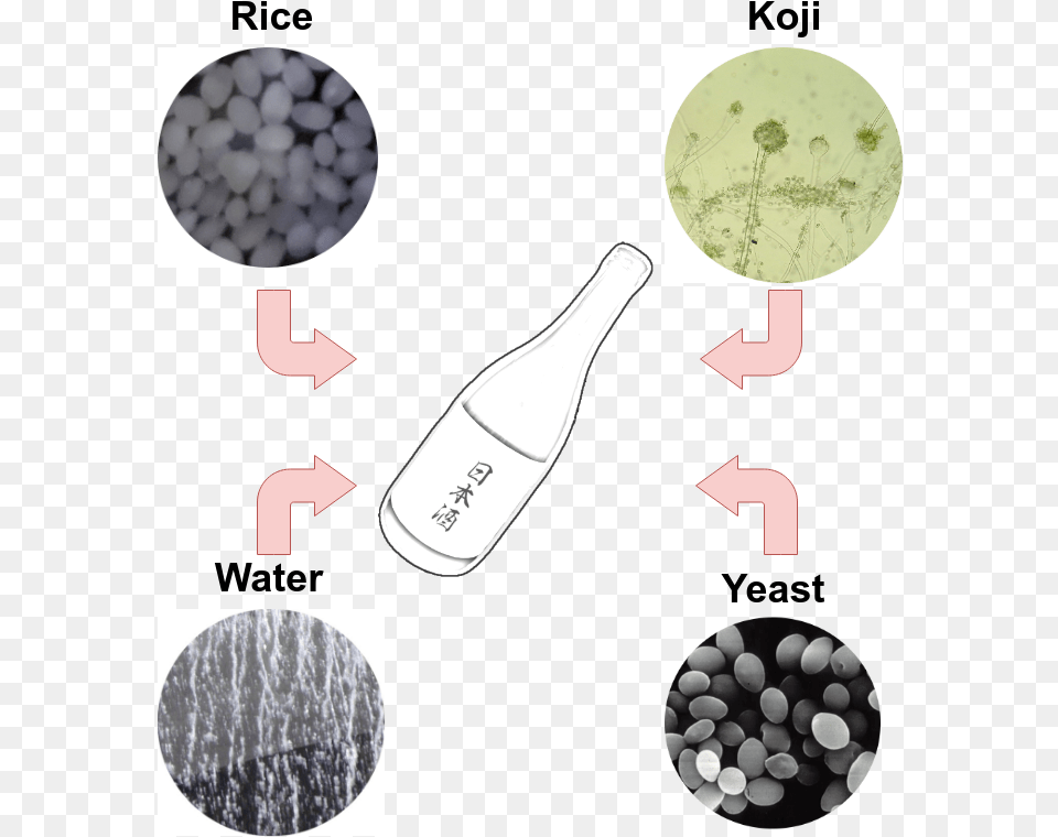 So Rice Water Koji And Special Sake Yeast Are Fab Grape, Bottle, Alcohol, Beverage Free Transparent Png