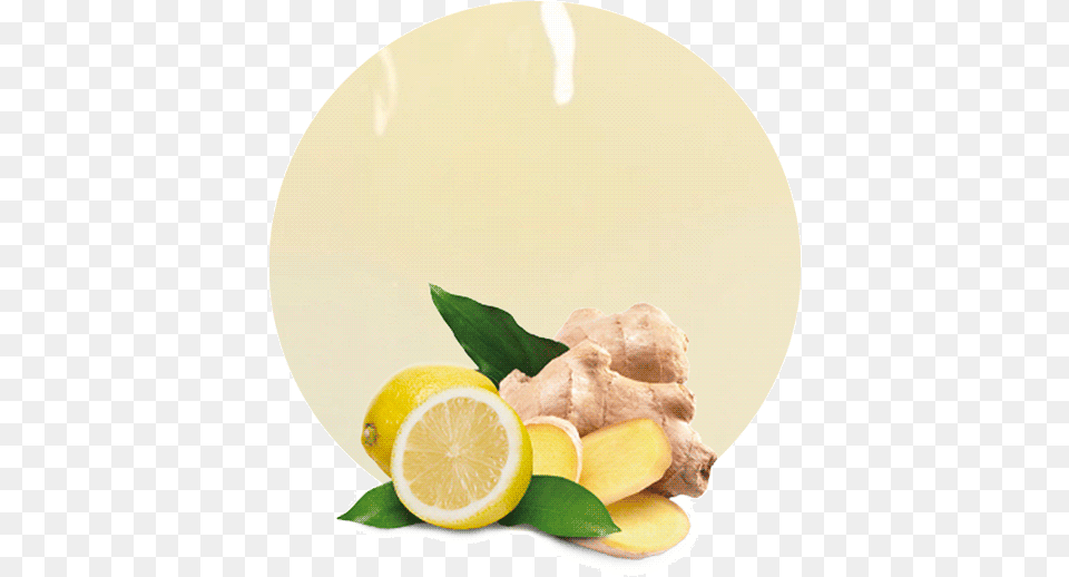 So The Demand For Raw Materials Like Lemon And Ginger Plant Seed 50 Pcsbag Ginger Seeds Balcony Organic, Citrus Fruit, Food, Fruit, Produce Free Png