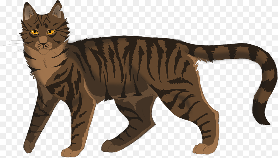 So Tigerstar Trains Tigerheart In The Dark Forest Warrior Cats Tigerheart, Animal, Cat, Mammal, Pet Free Png