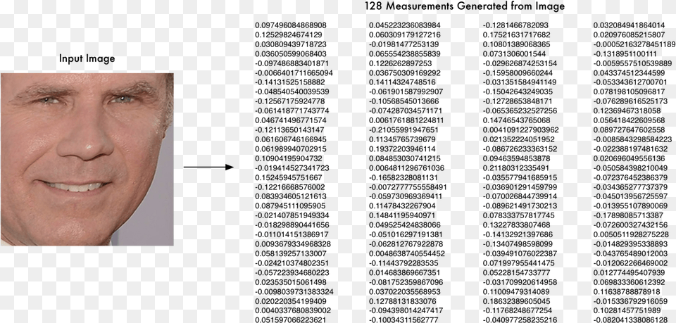 So What Parts Of The Face Are These 128 Numbers Measuring Face Recognition Encoding, Head, Portrait, Photography, Person Free Png Download