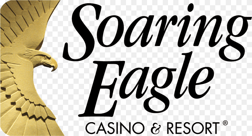 Soaring Eagle Casino And Resort Logo, People, Person Free Transparent Png