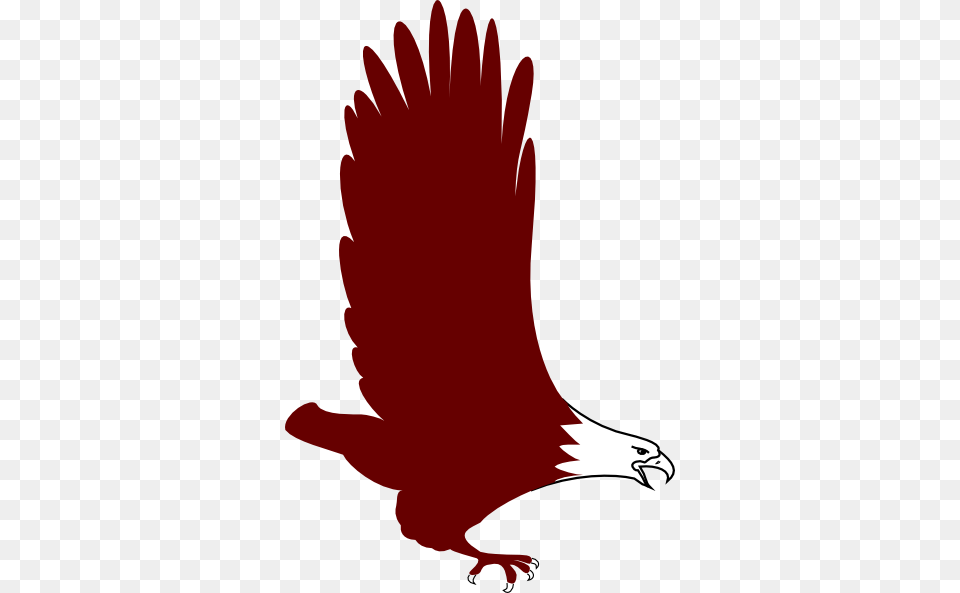 Soaring Eagle Clip Art At Red Eagle Clip Art, Animal, Bird, Vulture, Electronics Png