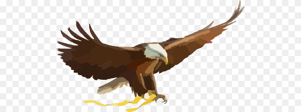 Soaring Eagle Clipart, Animal, Bird, Person Free Png Download