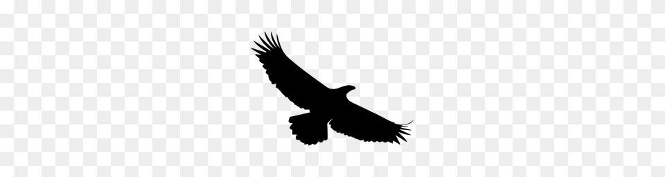 Soaring Eagle Clipart Clipart, Gray Free Png Download