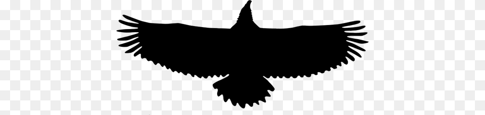Soaring Eagle Silhouette Clip Art, Gray Png Image