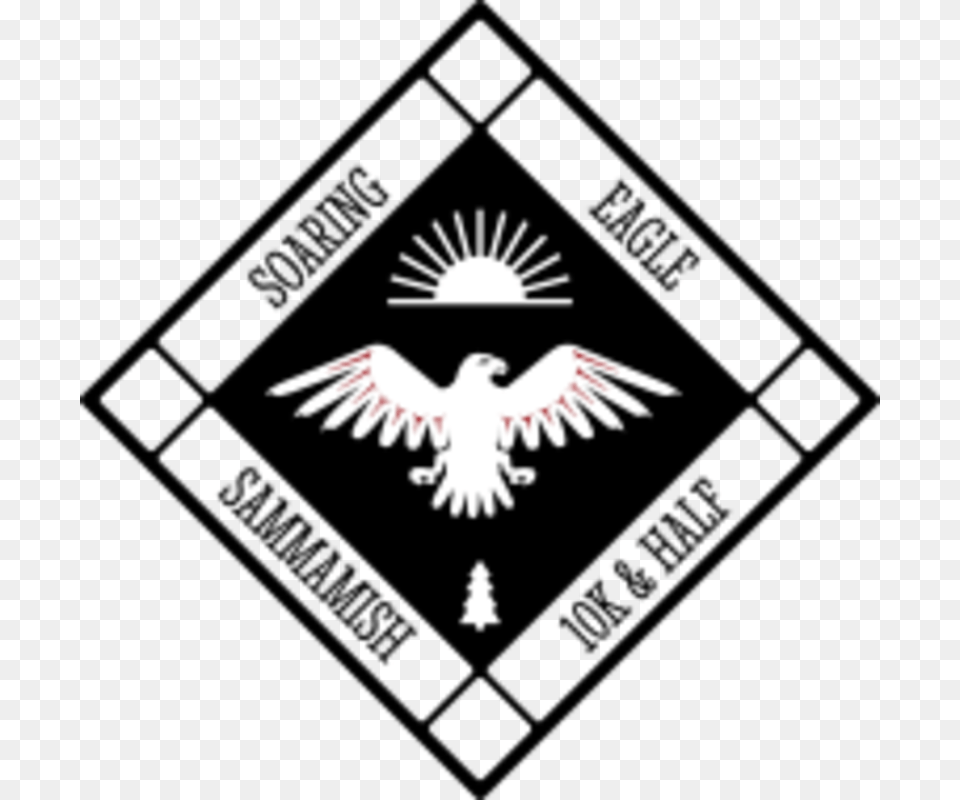 Soaring Eagle Trail Run Cross Stitch, Animal, Bird, Flying, Emblem Png Image