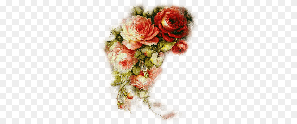 Soave Background Transparent Vintage Flowers Red Rose Vintage Transparent Background Transparent Flower, Art, Graphics, Floral Design, Painting Free Png Download